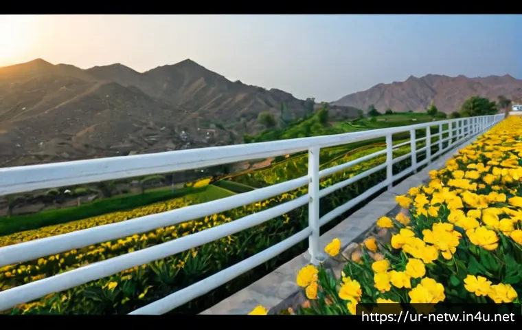 نیٹ ورکنگ تحریری امتحان: آسان سے مشکل سوالات تک مؤثر تیاری اور کورس انتخاب گائیڈ 4 네트워크 필기 시험의 난이도별 학습 전략 관련 이미지 2